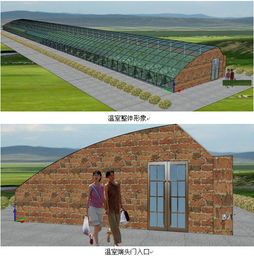 490平方米日光溫室型霧培蔬菜與芽苗菜工廠化生產設計方案